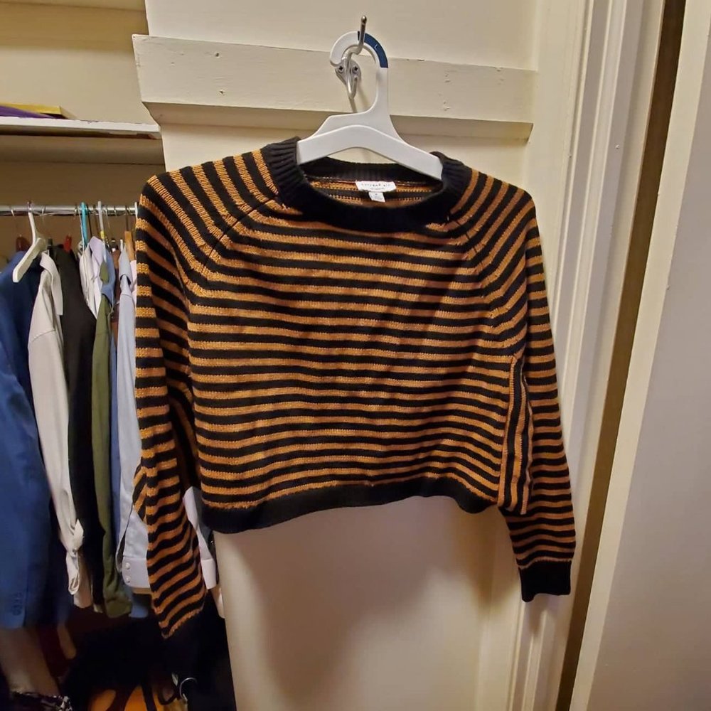 Black and brown dolman sleeve crop sweater